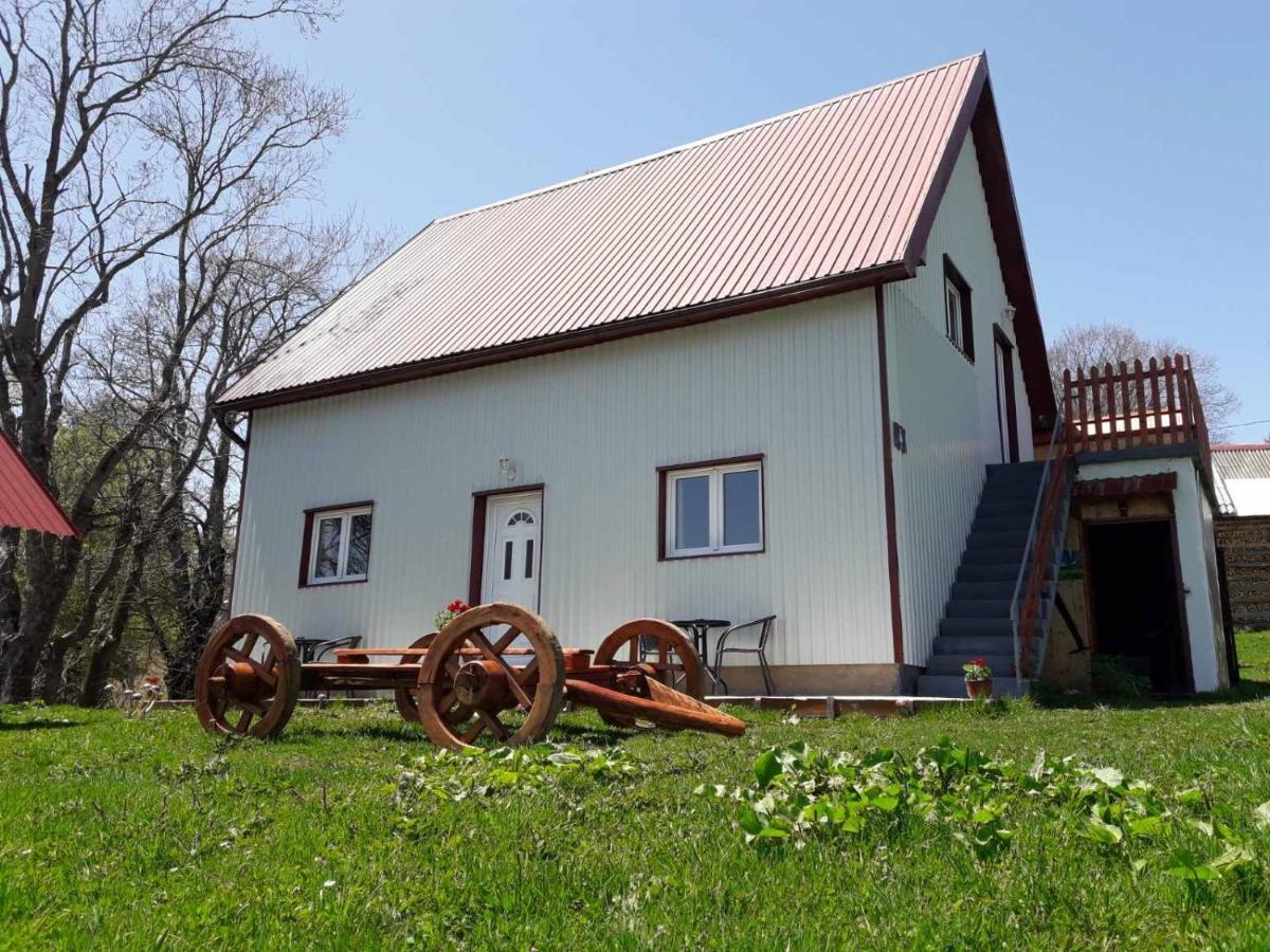 Domacinstvo Krstajic - Rural Country house *