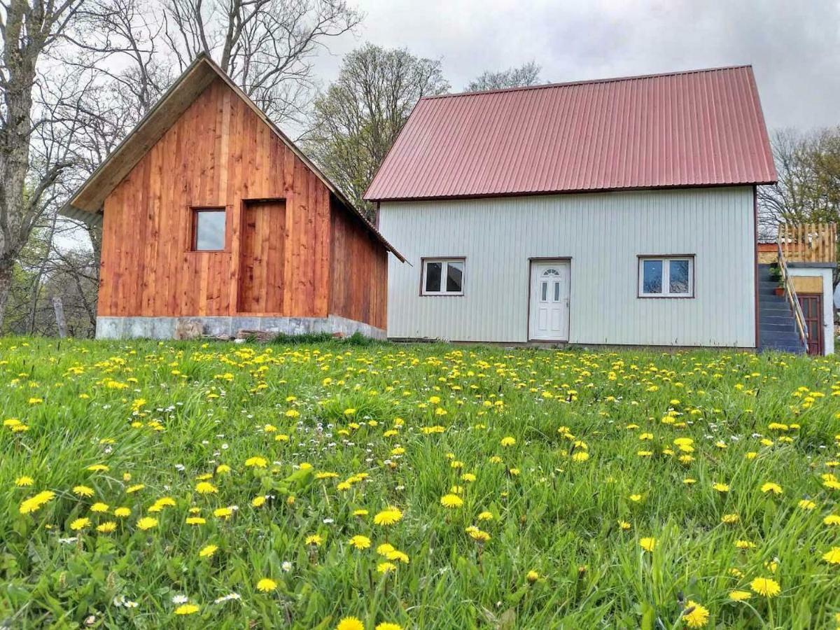 Country house Domacinstvo Krstajic - Rural *