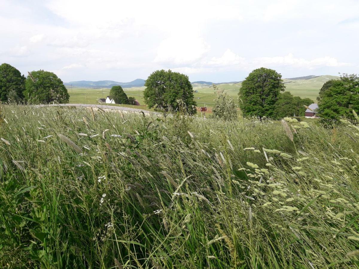 Domacinstvo Krstajic - Rural Country house