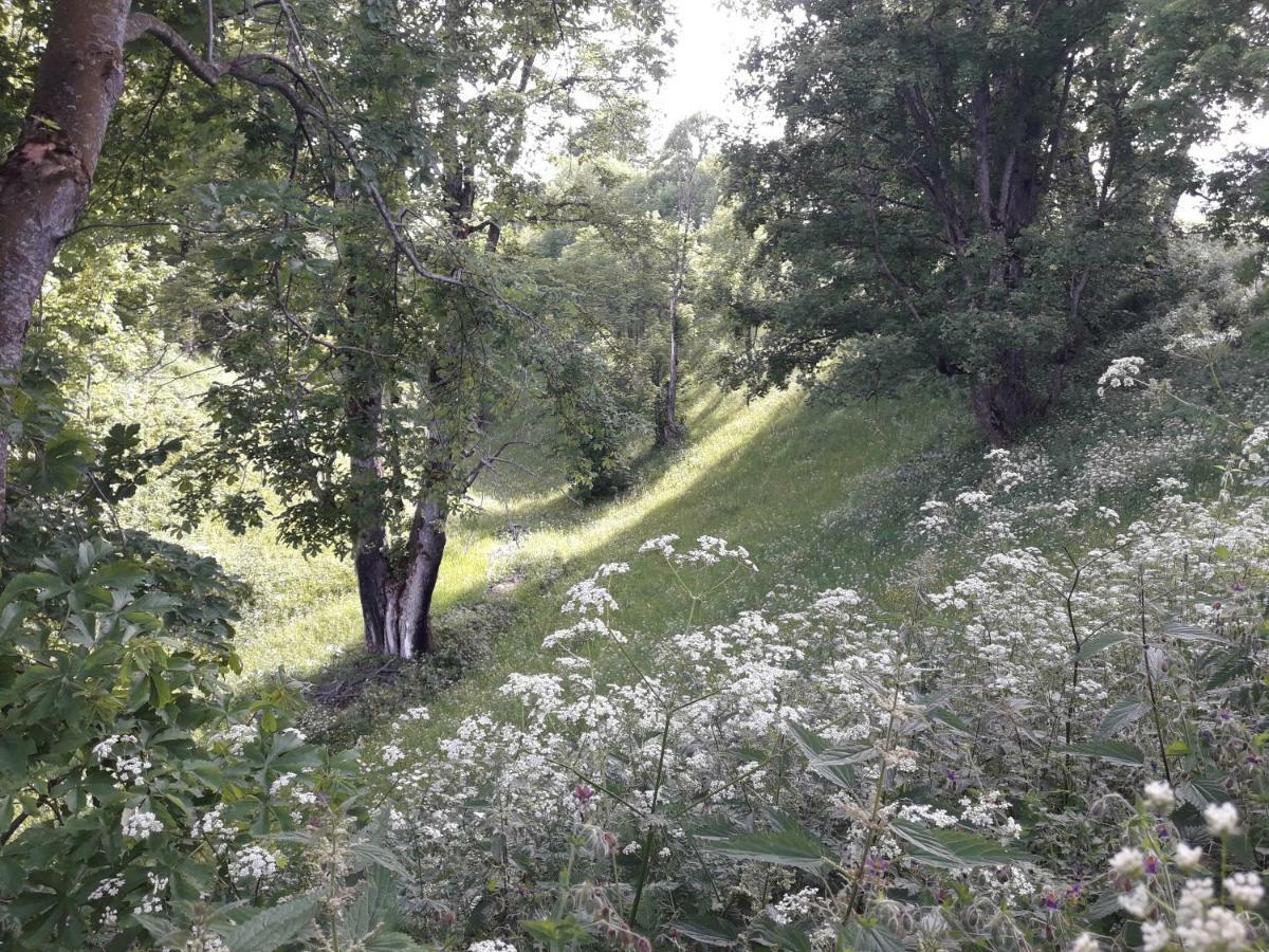 Domacinstvo Krstajic - Rural Country house Zabljak (Zabljak)