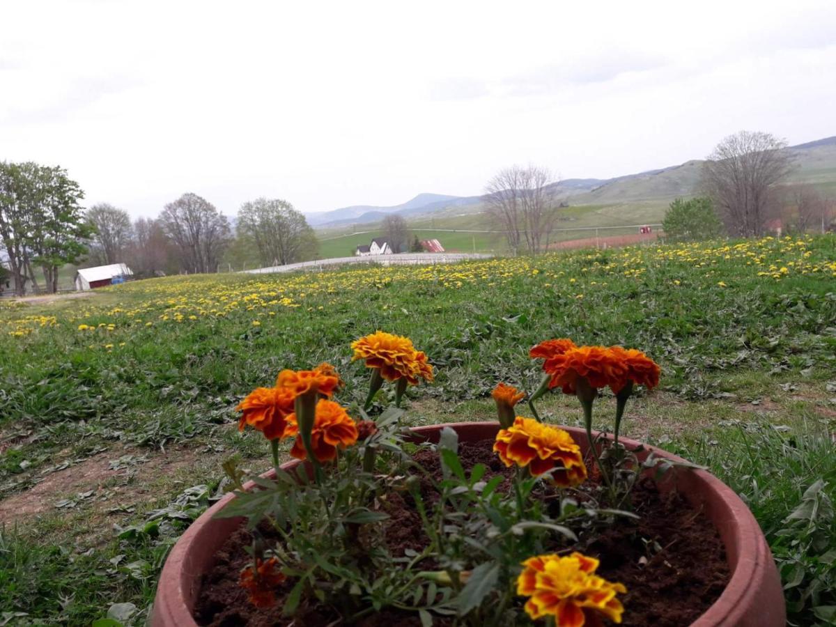Domacinstvo Krstajic - Rural Zabljak (Zabljak)