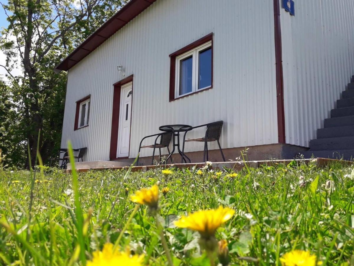 Country house Domacinstvo Krstajic - Rural *